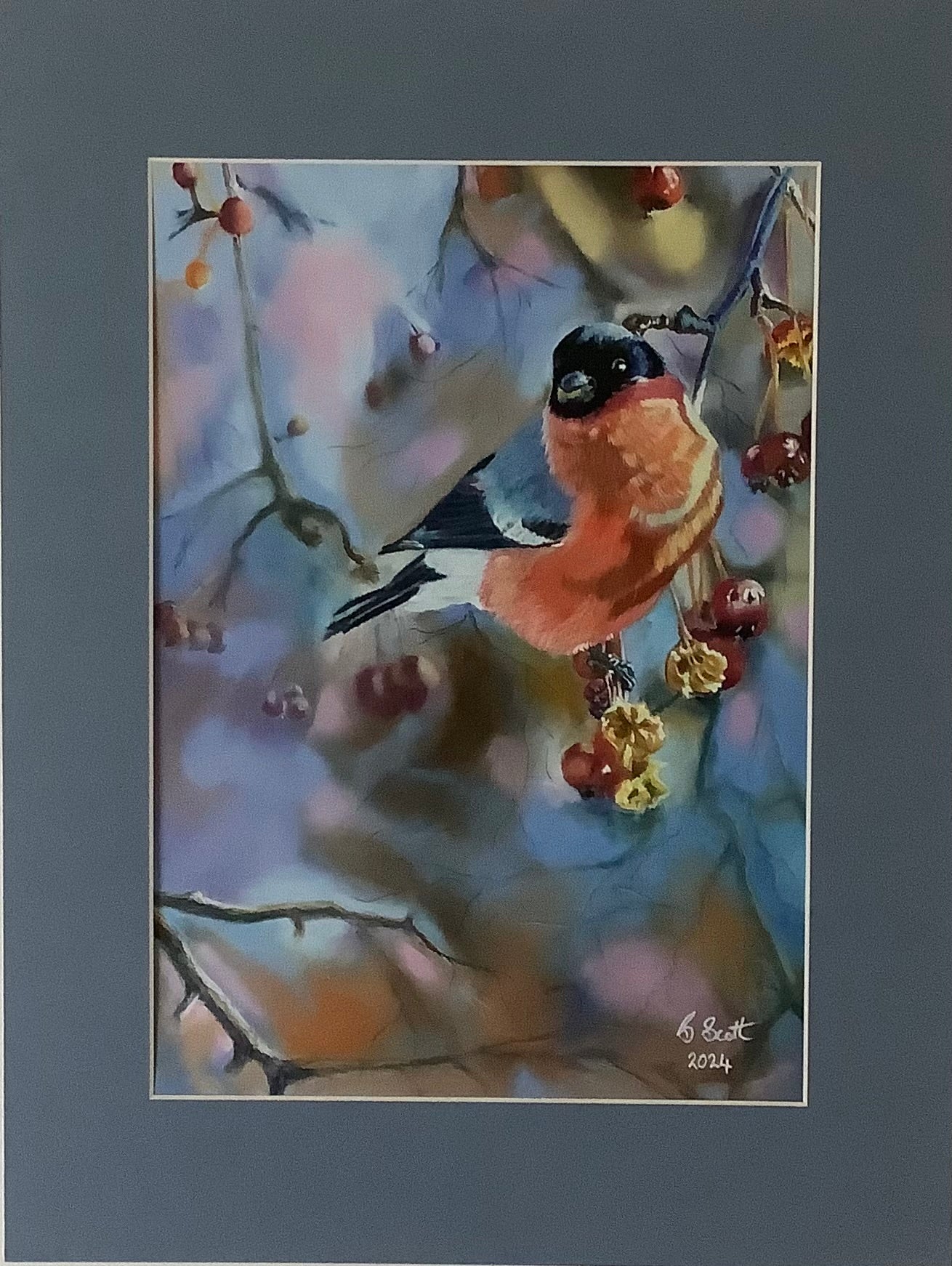 Bullfinch A4 Print in a Cool Slate Grey Mount