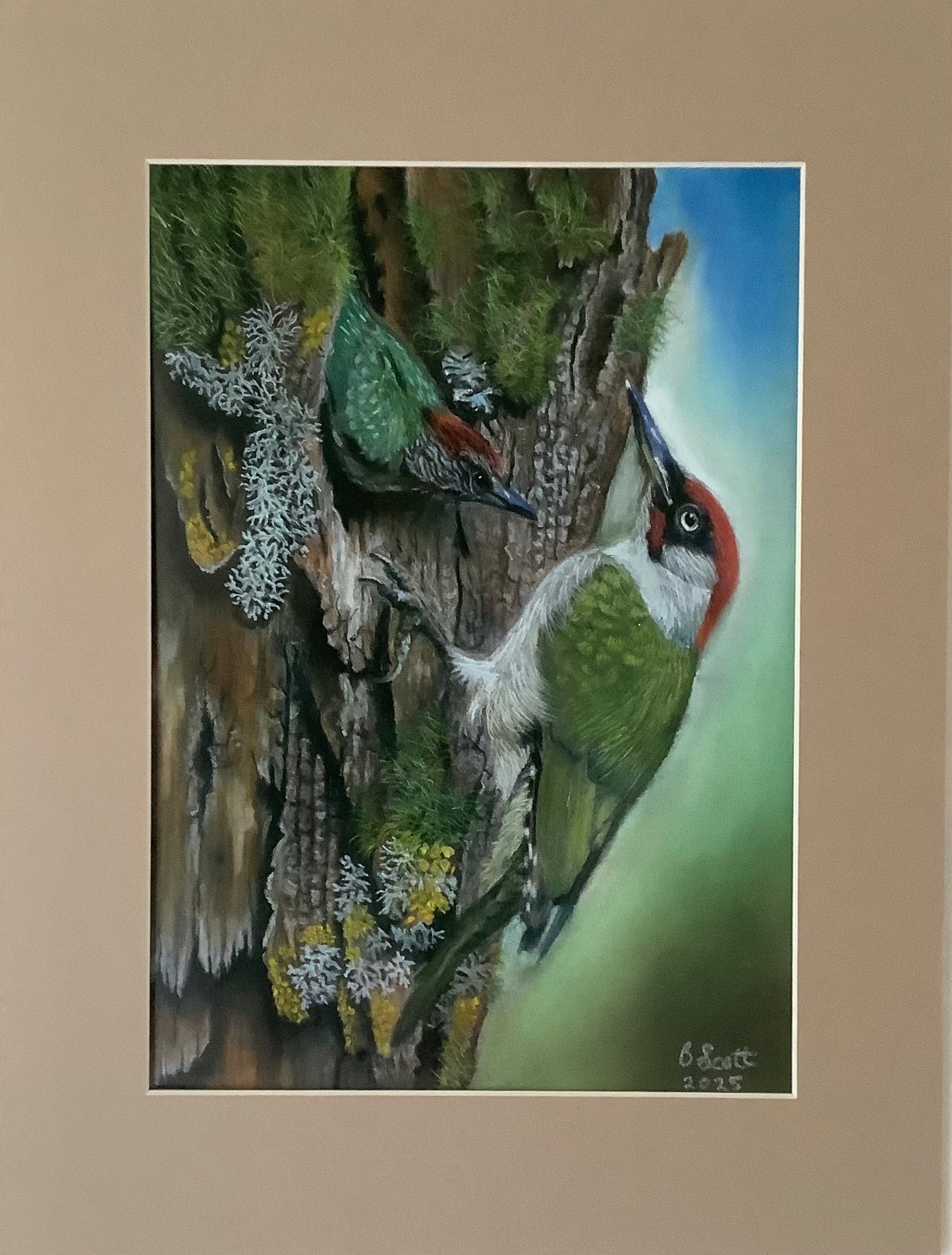 Green Woodpecker A4 Print in a Cream mount